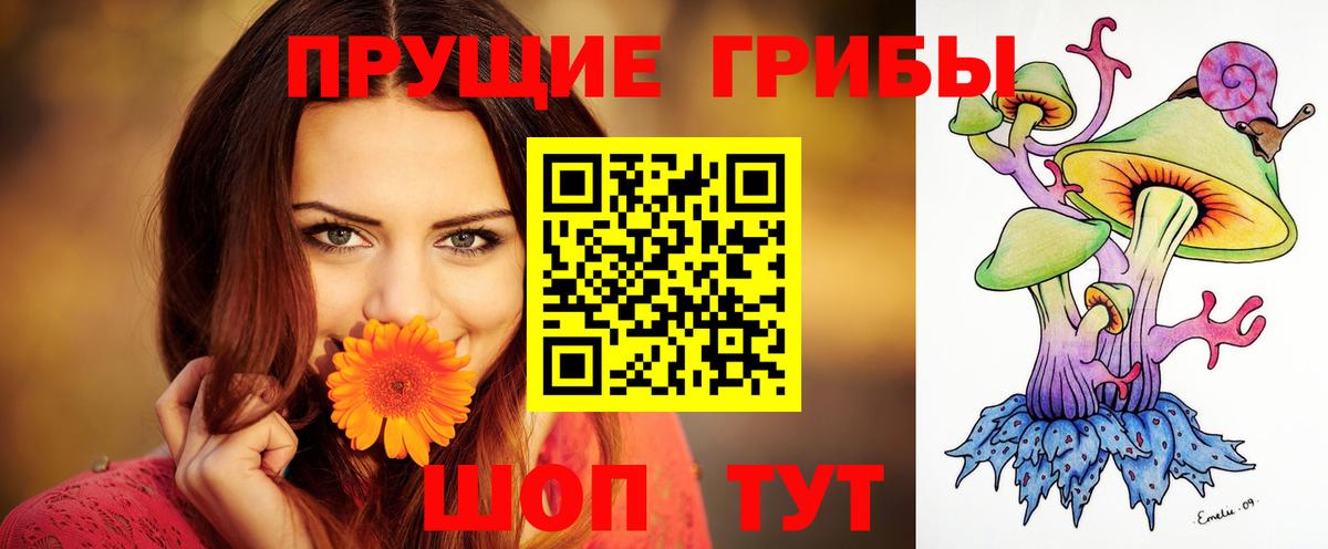 даркнет сайт  Галлюциногенные грибы GOLDEN TEACHER  Вход с VPN  Псилоцибиновые грибы Cubensis  Долгопрудный 