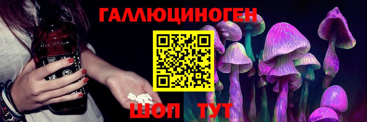 Галлюциногенные грибы GOLDEN TEACHER Долгопрудный